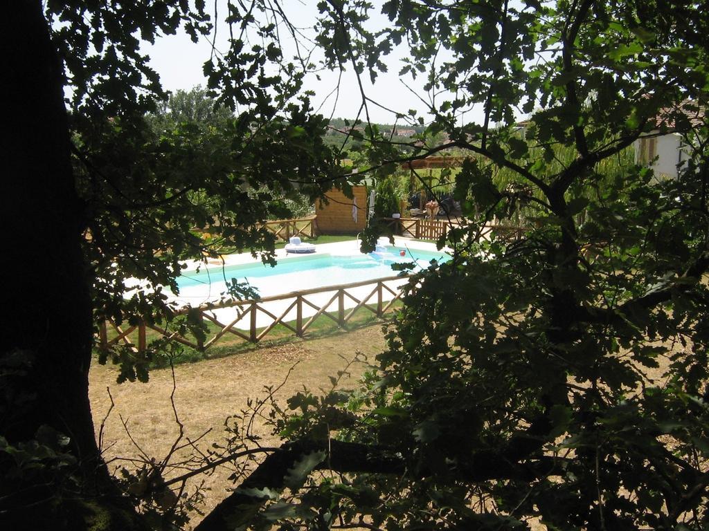 Agriturismo Le Baccane Vinci Exterior foto